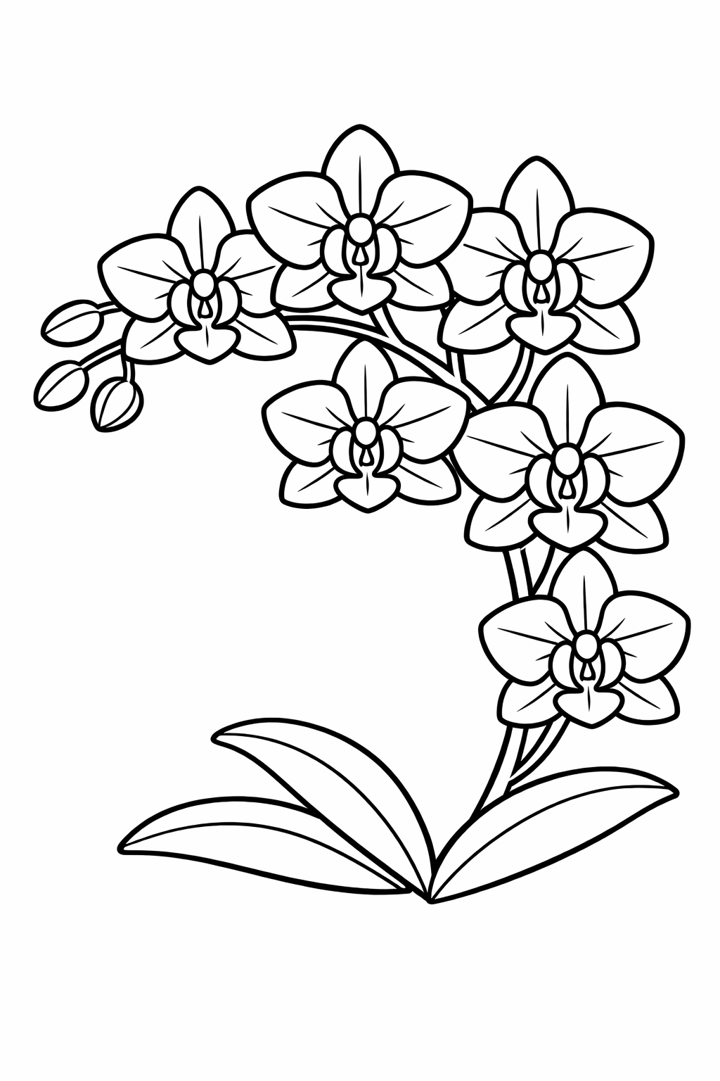 Orchideenblüte - Ausmalbild